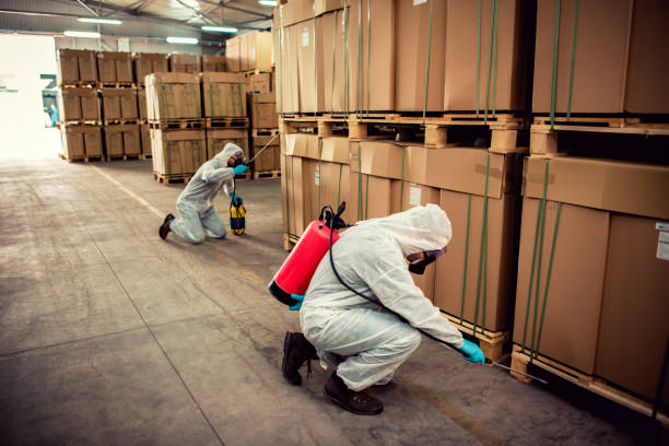 Best Mosquito Control Services  in Randolph, WI