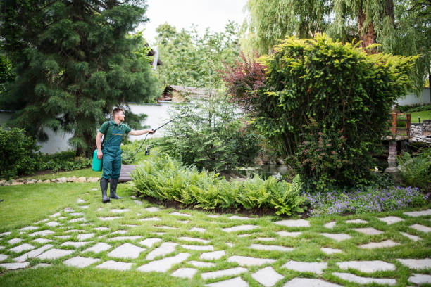 Reliable Randolph, WI Pest Control Solutions