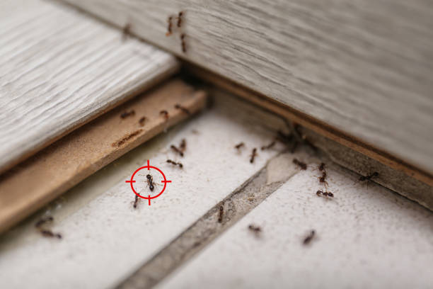 Pest Control Cost in Randolph, WI