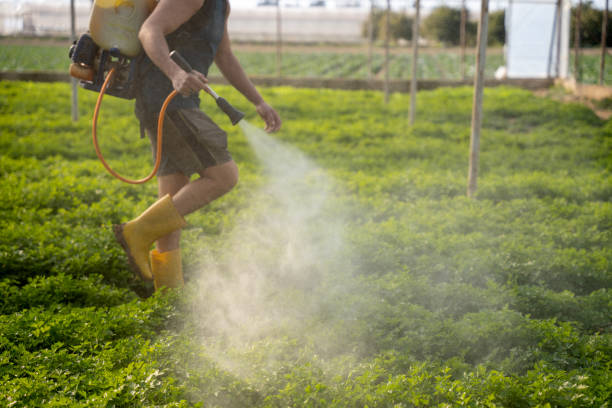 Pest Prevention Services in Randolph, WI