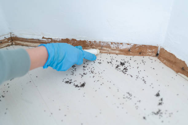 Best Pest Removal Services  in Randolph, WI